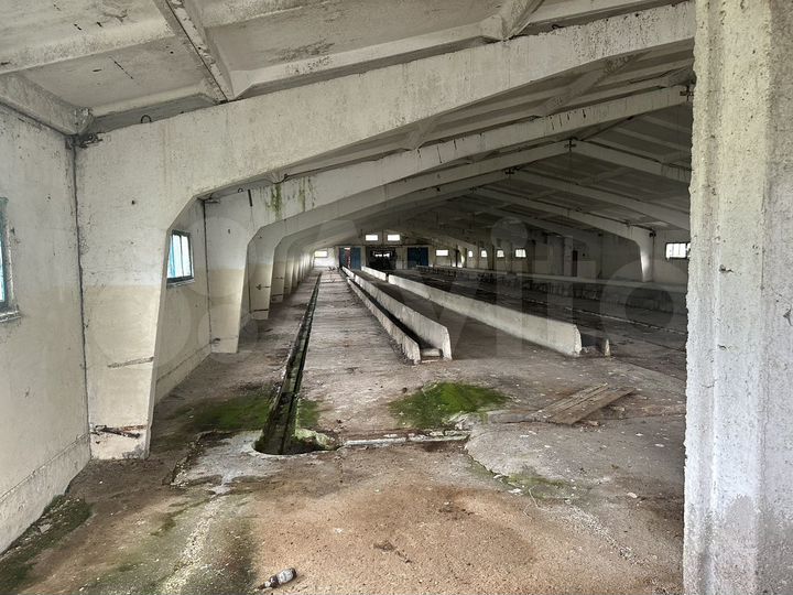 Свободного назначения, 1000 м²