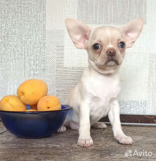 Эксклюзив. Кремушка с разными глазками