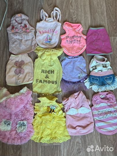 Одежда для маленьких собак