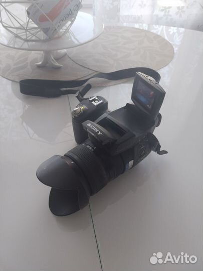 Sony cyber shot DSC R1