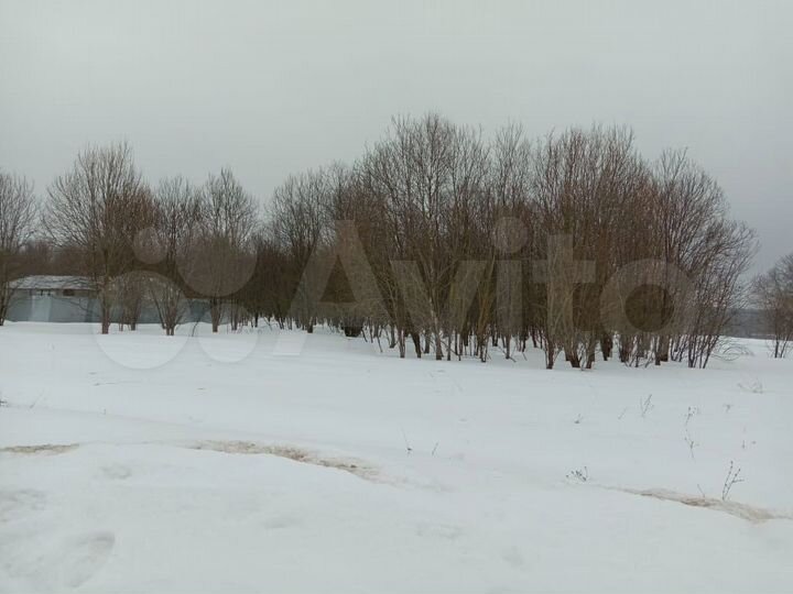 Участок 37,5 сот. (ИЖС)