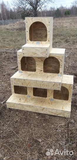 Гнездо для кур с яйцесборником