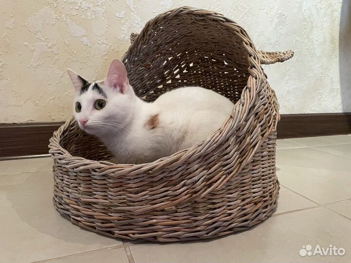 Корзина плетеная из бумажной лозы