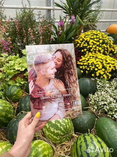 Подарок «WOW”