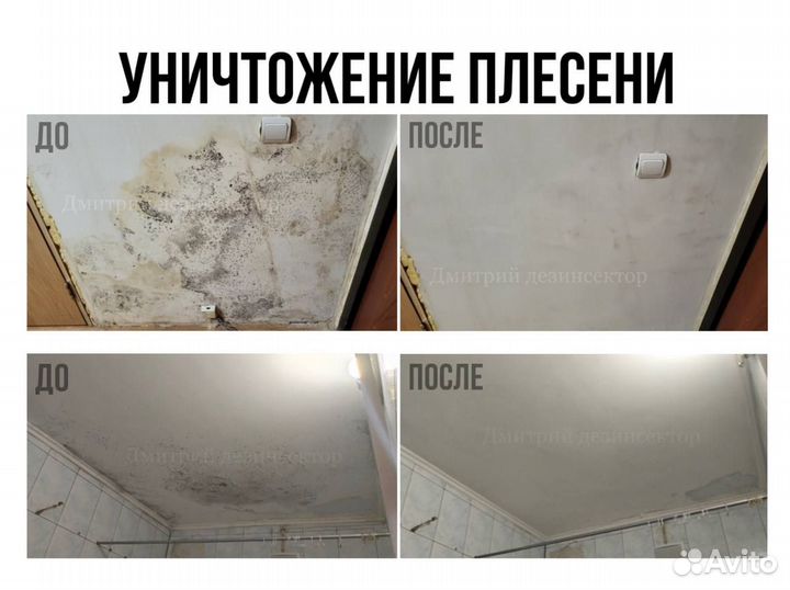 Обработка от насекомых, грызунов, запахов,плесени