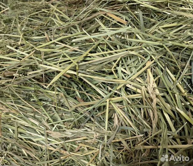 Солома в мешках