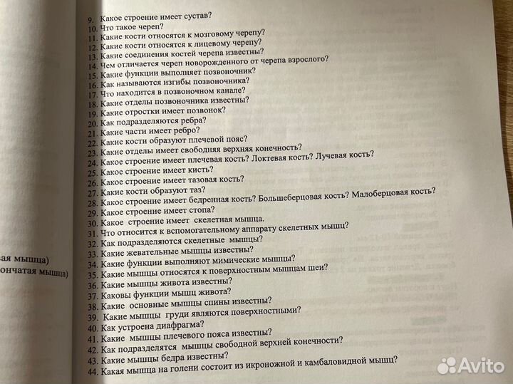 Конспекты по анатомии