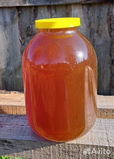 Мёд лесной урожай 2023