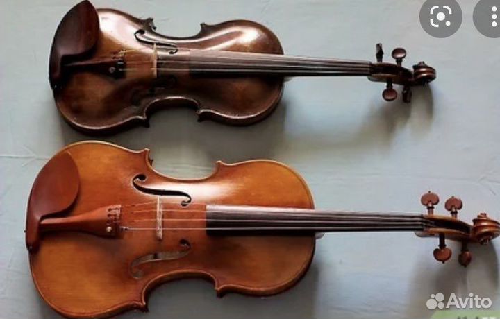 Дуэт музыкантов на праздник