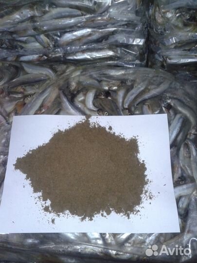 Рыбная Мука Оптом и в Розницу