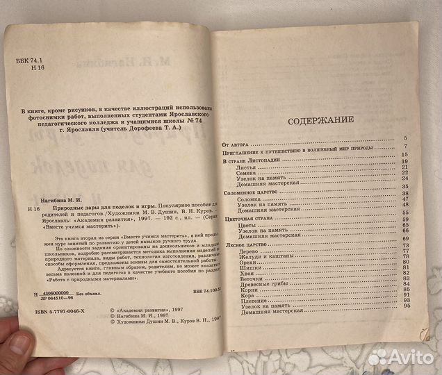 Книга Природные дары для поделок и игры