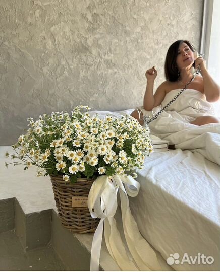 Ромашки в букете, коробке, корзинке