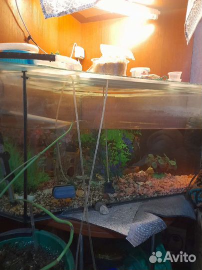 Аквариум