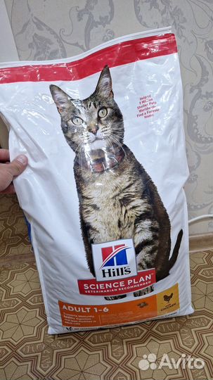 Hills корм сухой для кошек