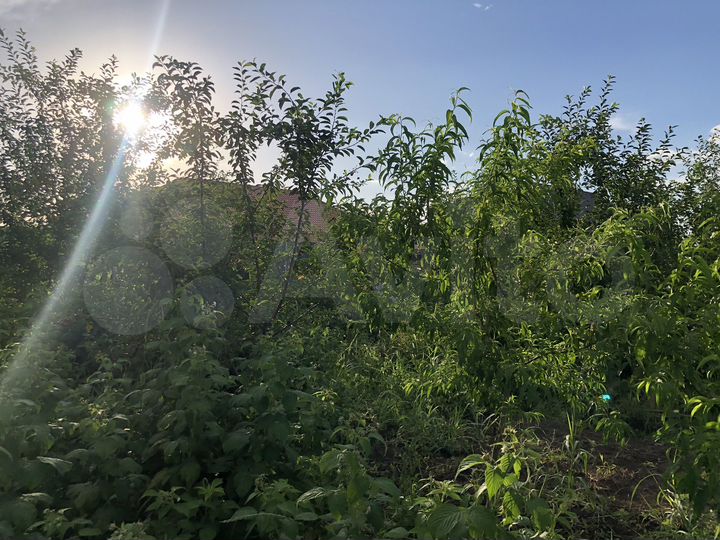 Участок 10 сот. (ИЖС)