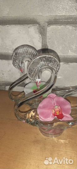 Лебеди СССР