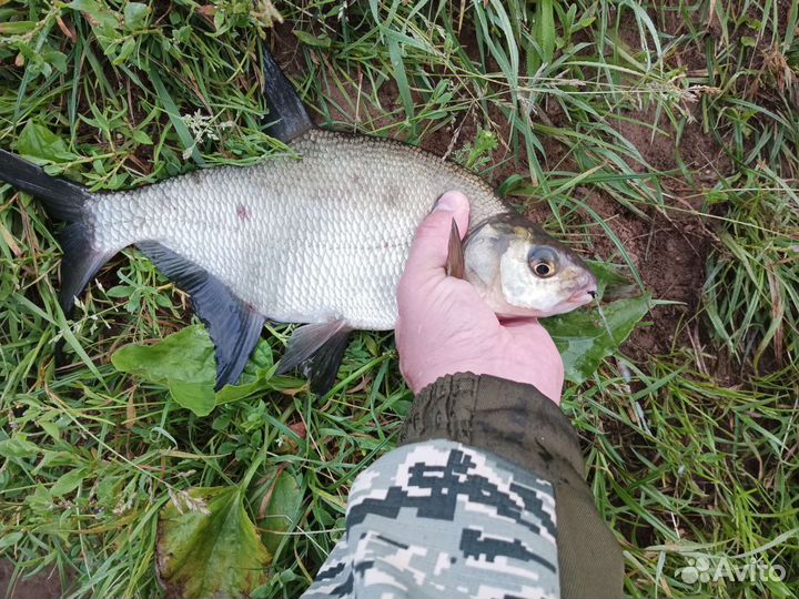 Заготовка для изготовления одноухих мормышек