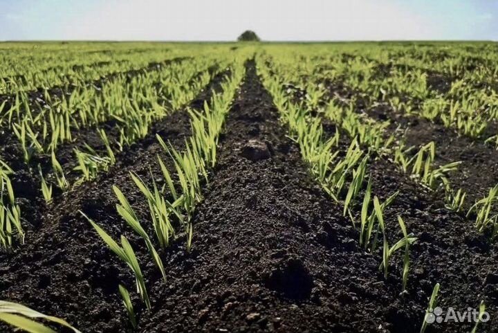 Земля, торф, перегной