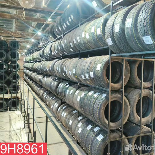 Vredestein Wintrac Xtreme S 205/50 R17 93L