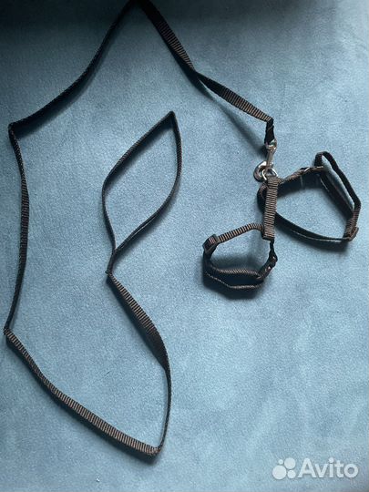 Поводок для кошек