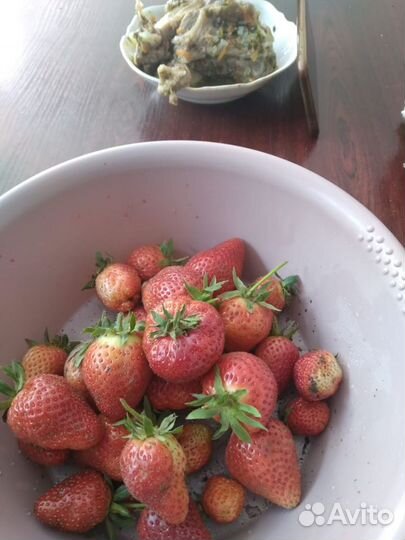 Рассада клубники