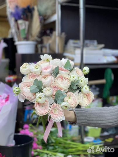 Ранункулюсы доставка