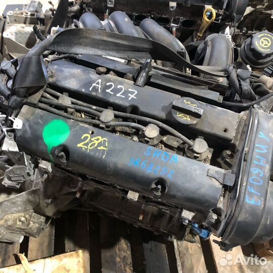 Двигатель hwda hwdb shda Ford Focus 2 1.6 Фокус