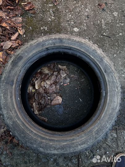 Nokian Tyres Hakkapeliitta 5 205/55 R16 94T