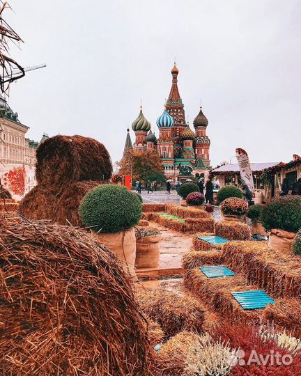 Декорации из сена, тюки из соломы для декора