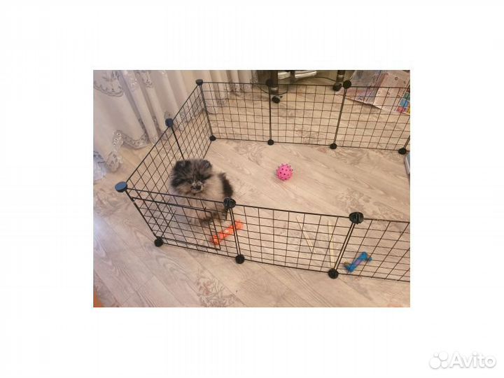 Вольер для собак