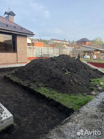 Чернозем. Бесплатно