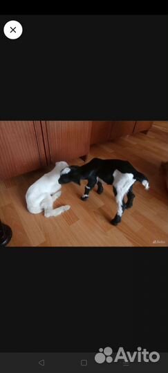 Козёл для вязки