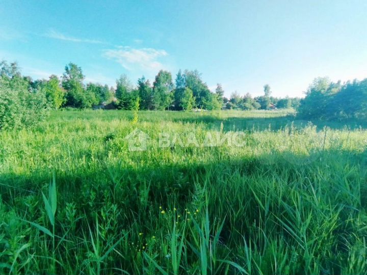 Участок 8 сот. (ИЖС)