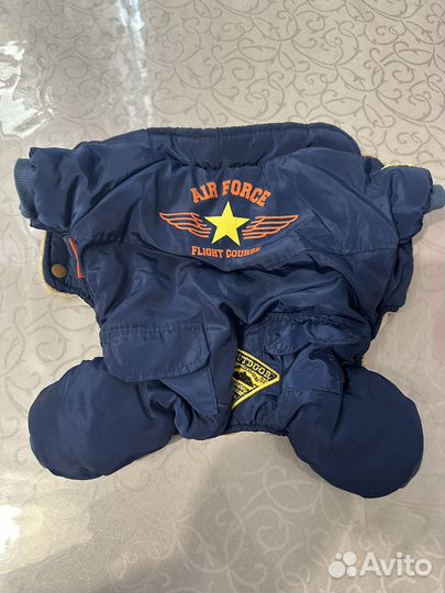 Одежда и обувь для собак