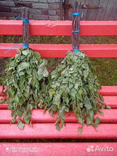 Веники для бани