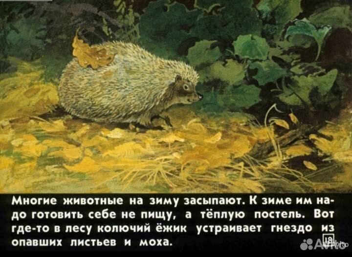 Диафильмы и фильмоскоп