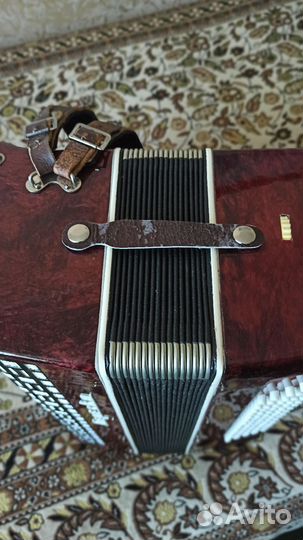 Аккордеон Берëзка
