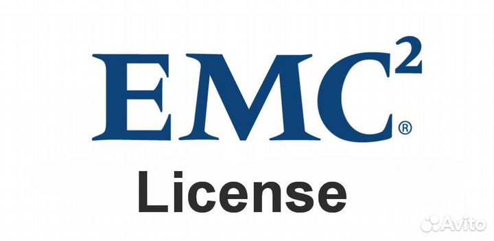 Лицензия EMC DS300B-8G8PU Цена с ндс Под заказ