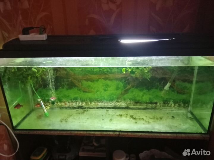 Аквариум с тумбой бу