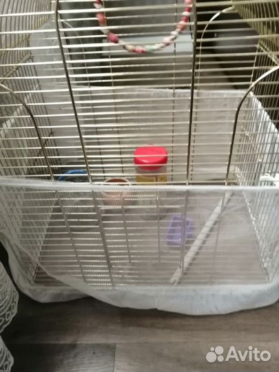 Клетка для попугая с кормом и вит смесью