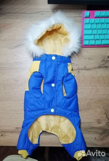 Комбинезон для мелких пород собак. Болонь утеплён