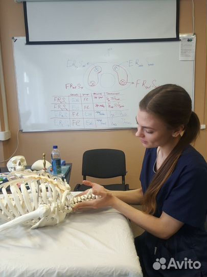 Кинезиолог, Реабилитолог