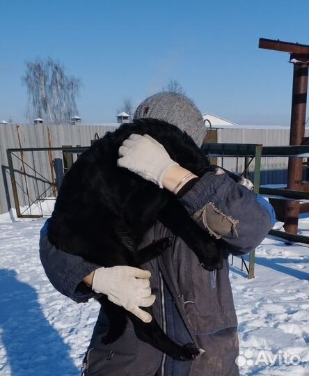 Молоденькая девочка в приюте