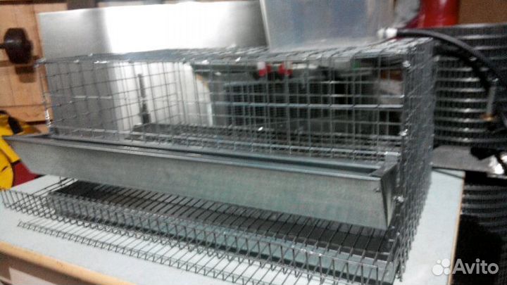 Клетка для перепелов кп-20