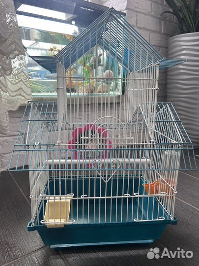 Клетка для попугая. Клетка- переноска