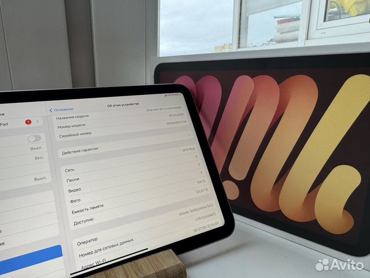 iPad Mini 6 Wi-Fi+LTE 64Gb Pink