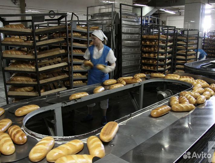 Вахта. Хлебзавод в Туле. Сборщик. 20/30/45