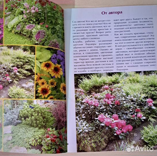 Книга Миксбордер Всегда в Моде Ю.Марковский