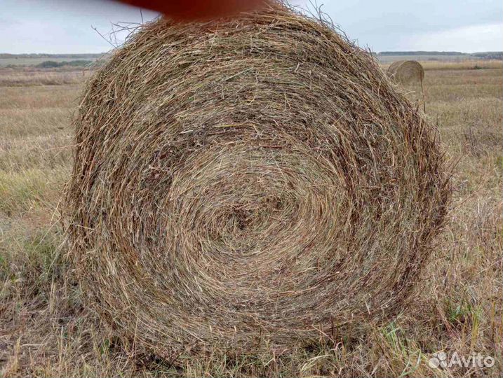 Сено в тюках