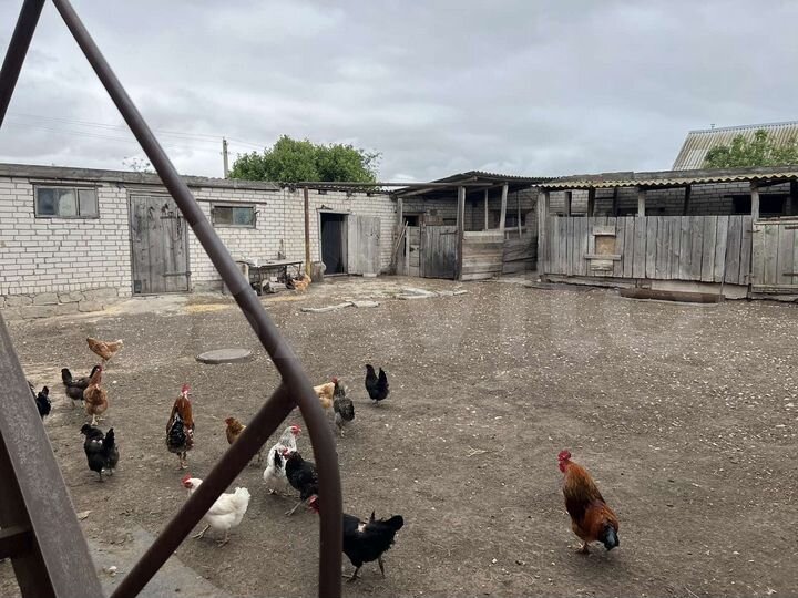 Дом 91,4 м² на участке 15 сот.